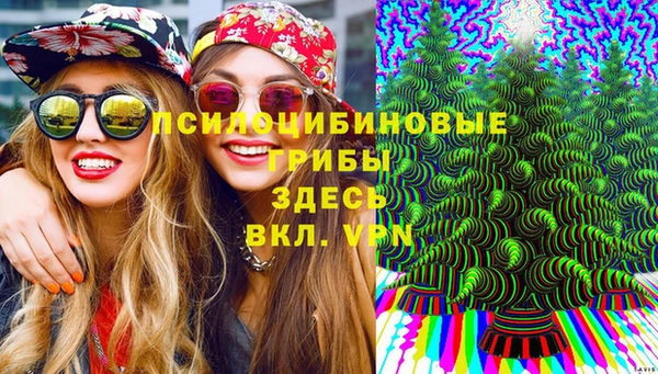 стаф Абаза