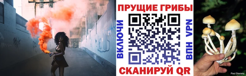 Псилоцибиновые грибы прущие грибы  купить   мега зеркало  Галич 